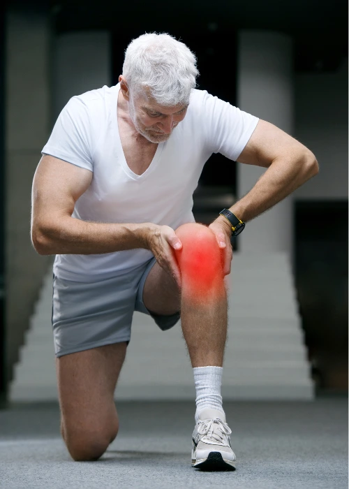 Chronic musculoskeletal -  <br>conditions